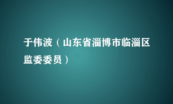 于伟波（山东省淄博市临淄区监委委员）