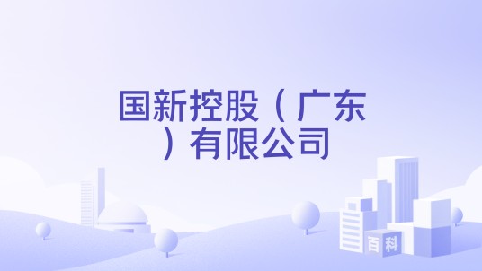国新控股（广东）有限公司