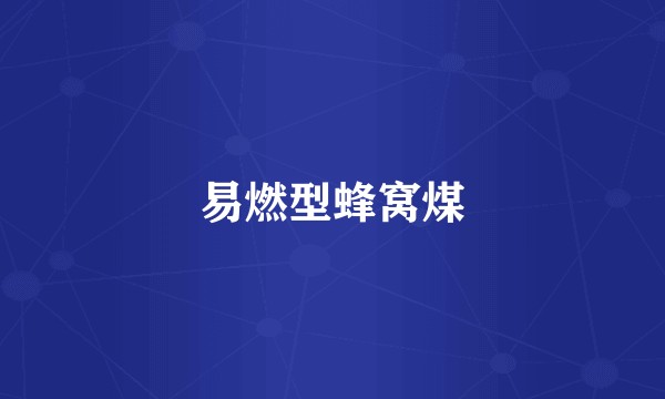 易燃型蜂窝煤