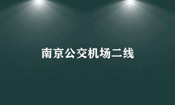 南京公交机场二线