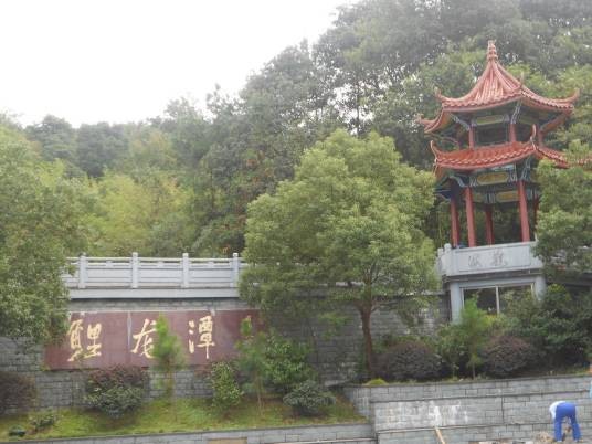 鲤龙潭森林公园