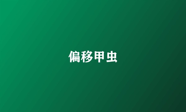 偏移甲虫