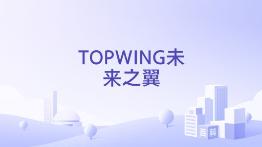 TOPWING未来之翼