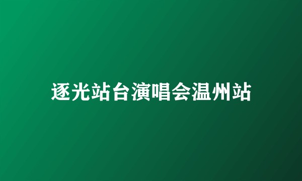 逐光站台演唱会温州站