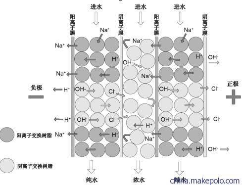 阳离子交换