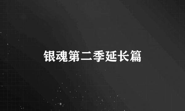银魂第二季延长篇