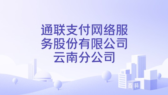 通联支付网络服务股份有限公司云南分公司