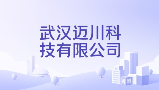 武汉迈川科技有限公司