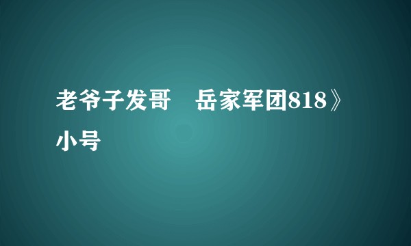 老爷子发哥巜岳家军团818》小号