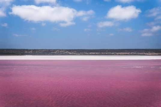 平克湖