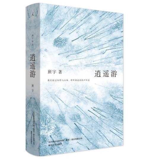 逍遥游（班宇著短篇小说）