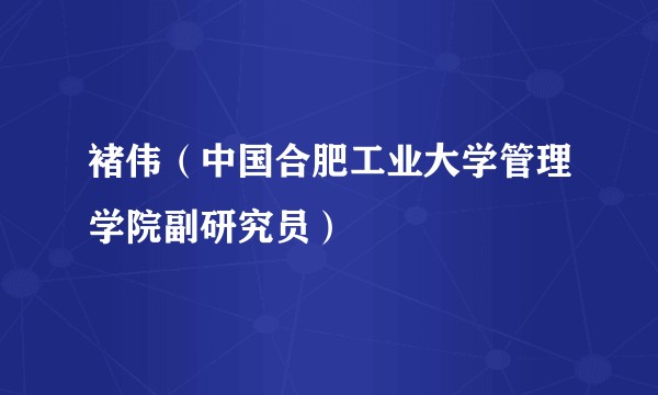 褚伟（中国合肥工业大学管理学院副研究员）