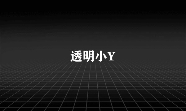 透明小Y