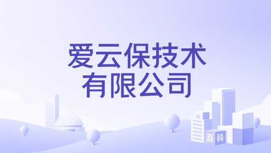 爱云保技术有限公司