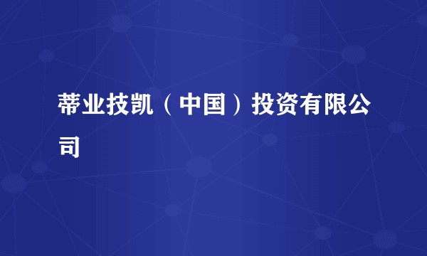 蒂业技凯（中国）投资有限公司