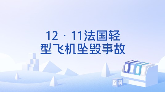 12·11法国轻型飞机坠毁事故
