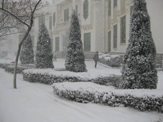 雪窝