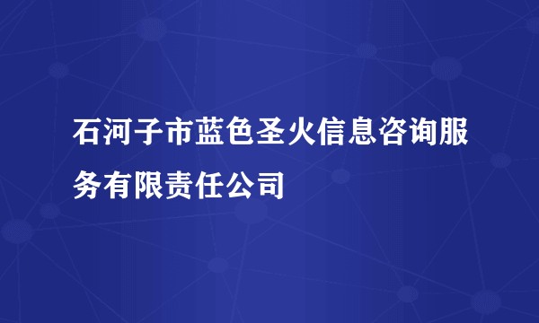 石河子市蓝色圣火信息咨询服务有限责任公司