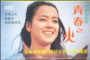 蔡妙甜（中国内地女歌手）