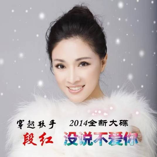 没说不爱你（2014年段红发行的音乐专辑）