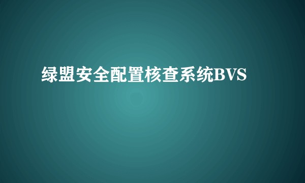 绿盟安全配置核查系统BVS