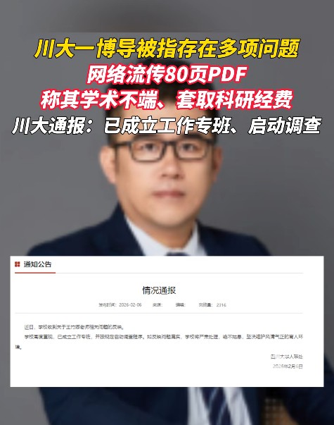2026年四川高校老师被举报学术不端事件