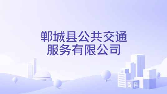 郸城县公共交通服务有限公司