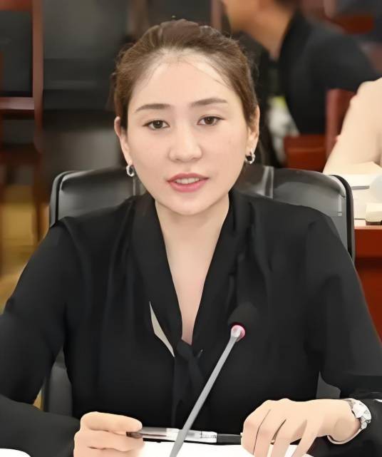 高爽（红星美凯龙家居集团股份有限公司原执行总裁）