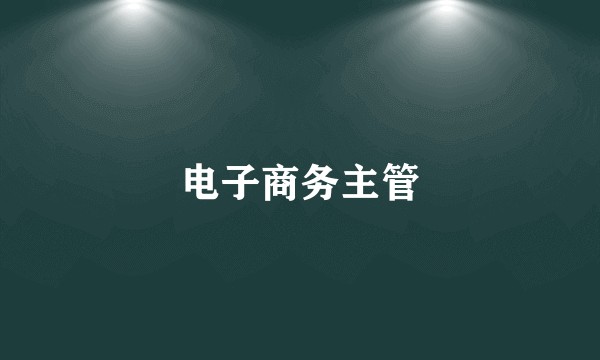 电子商务主管