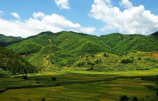 罗定八排山风景区