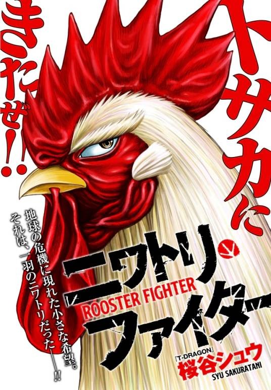 ROOSTER FIGHTER