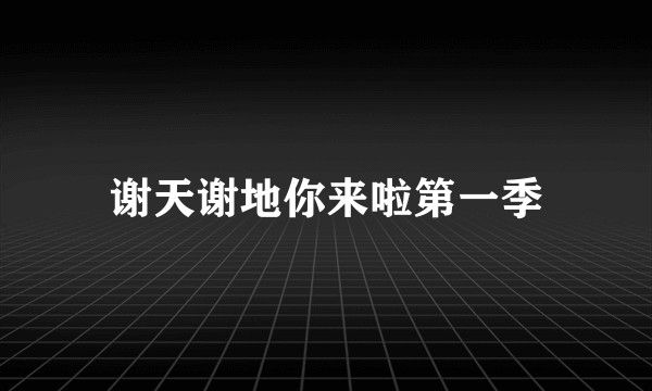 谢天谢地你来啦第一季