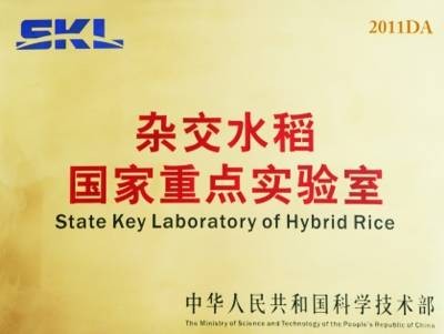 杂交水稻国家重点实验室（湖南杂交水稻研究中心、武汉大学）
