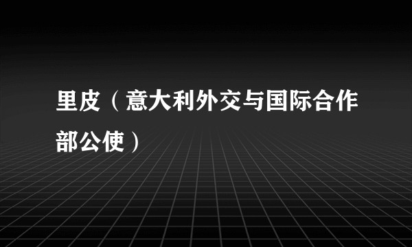 里皮（意大利外交与国际合作部公使）
