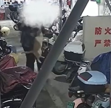 11·8南京男子虐杀流浪猫事件