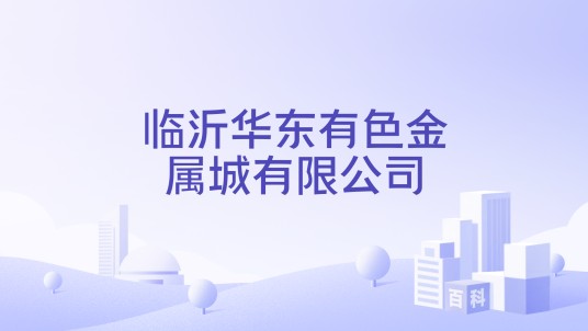临沂华东有色金属城有限公司