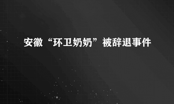 安徽“环卫奶奶”被辞退事件