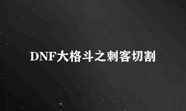 DNF大格斗之刺客切割