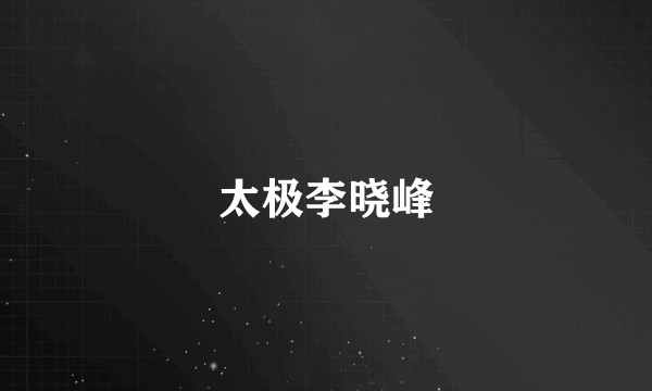 太极李晓峰