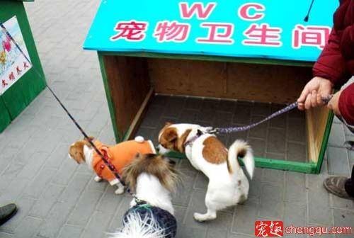 宠物公厕