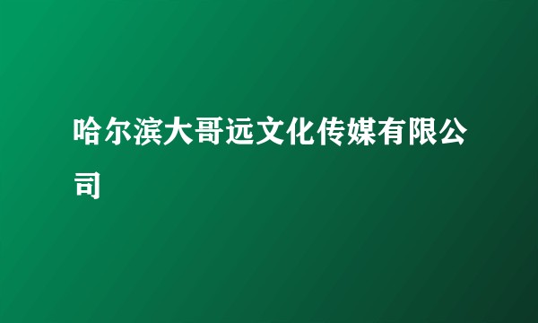 哈尔滨大哥远文化传媒有限公司
