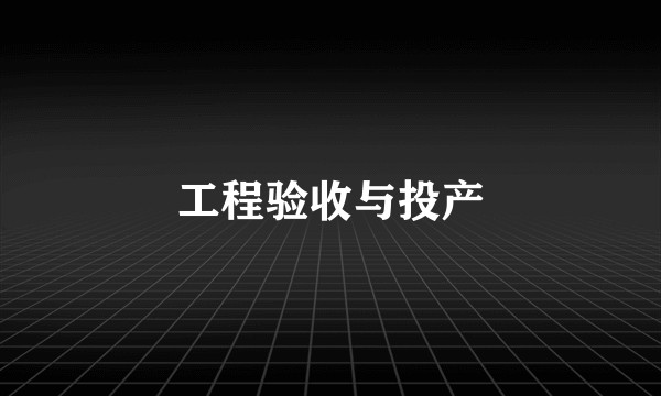 工程验收与投产