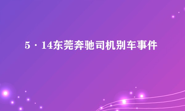 5·14东莞奔驰司机别车事件