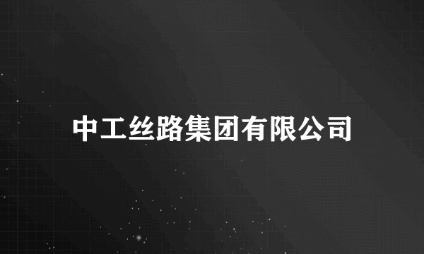 中工丝路集团有限公司