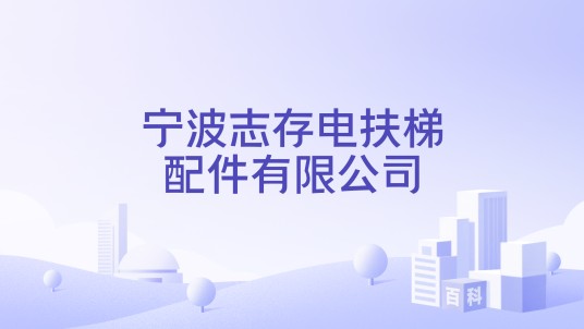 宁波志存电扶梯配件有限公司