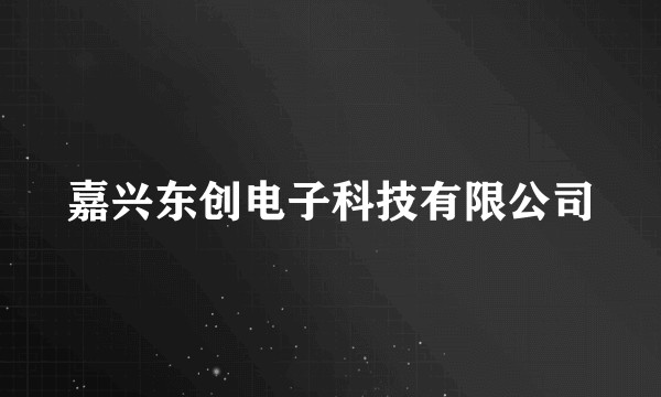 嘉兴东创电子科技有限公司