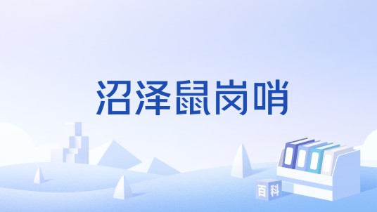 沼泽鼠岗哨