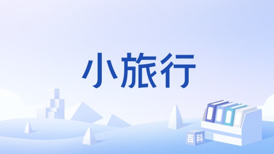小旅行（中国舞蹈家协会《中国舞蹈考级》八级舞蹈）