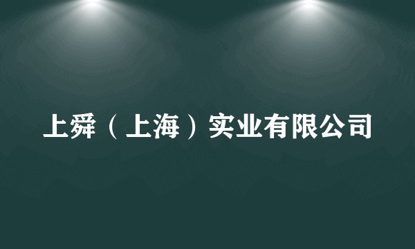 上舜（上海）实业有限公司