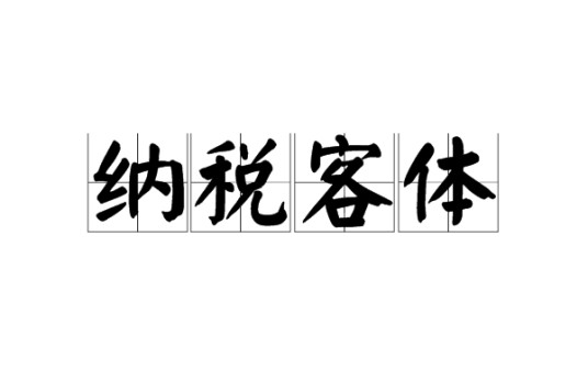 纳税客体